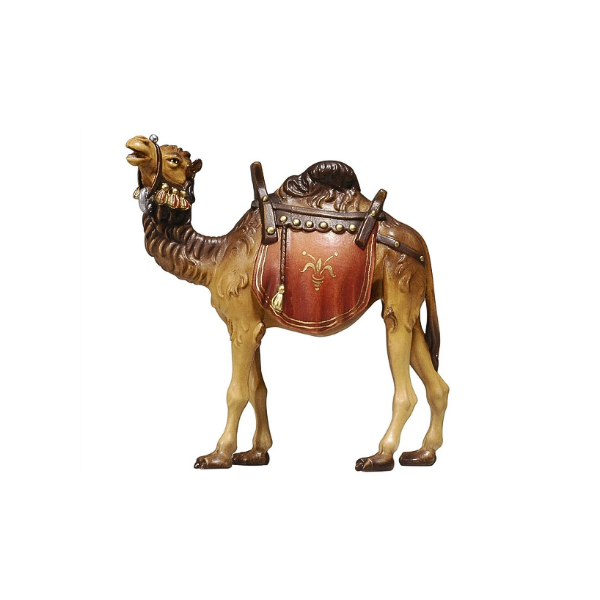 Camel Rainell