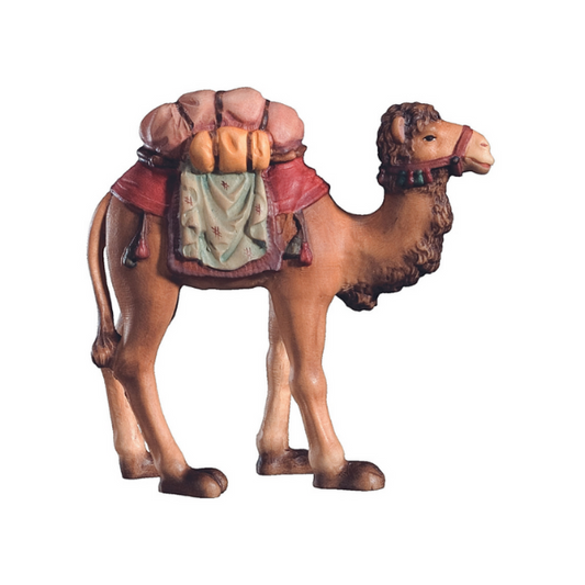 Camel with Luggage Raffaello 