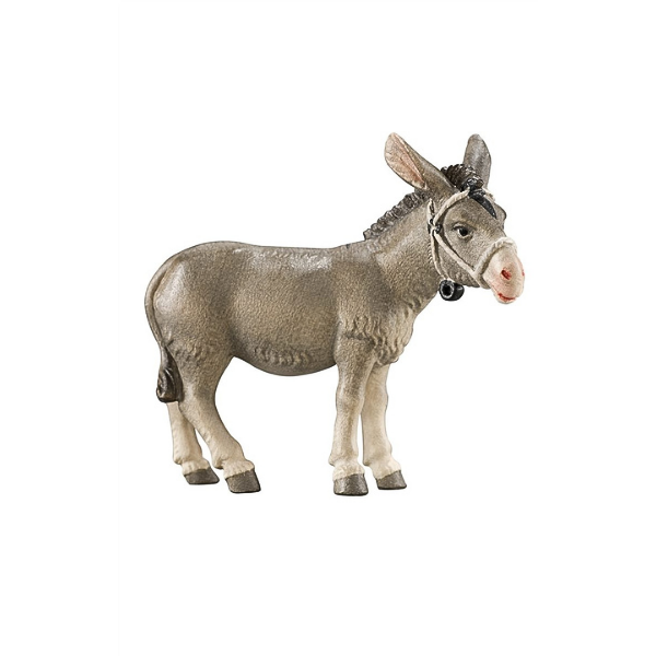 Donkey for hostel search