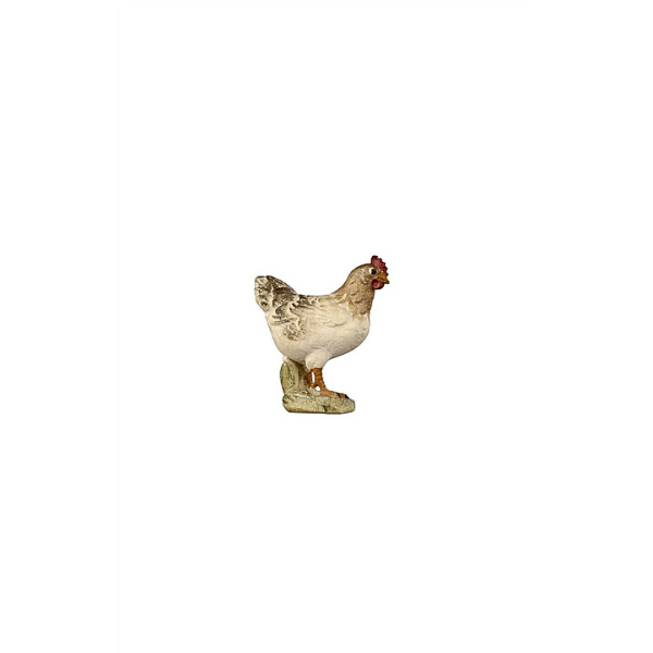 Hen standing