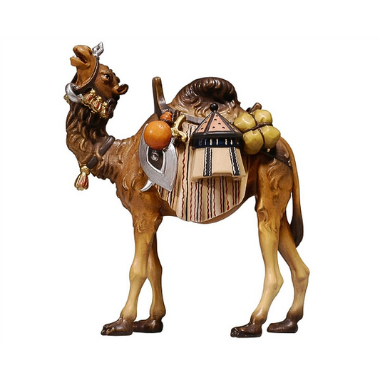 Camel with luggage