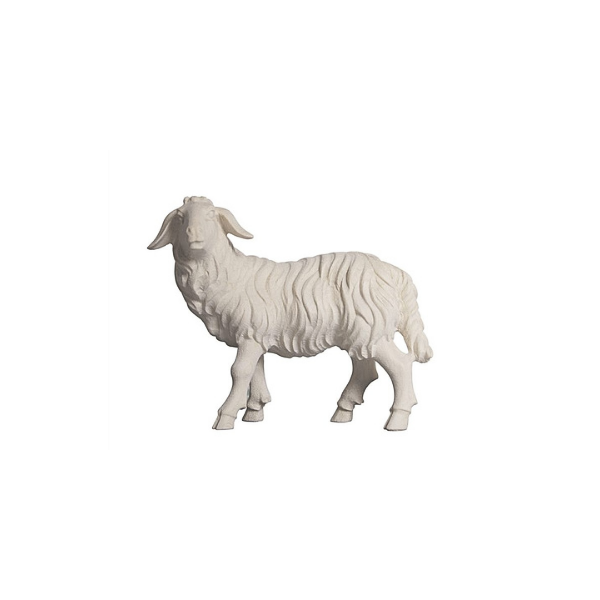 Schaf stehend linksschauend