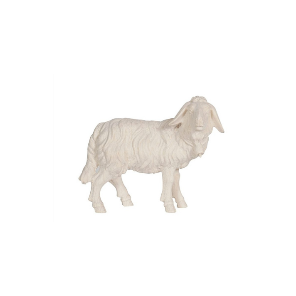 Schaf stehend mit Glocke