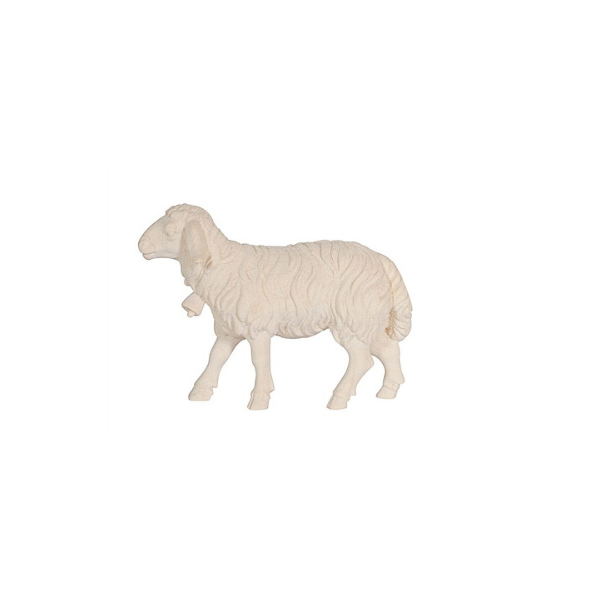 Schaf gehend mit Glocke