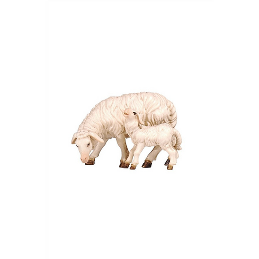 Sheep grazing with lamb