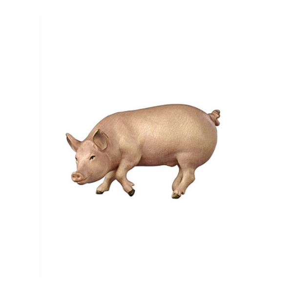 Pig