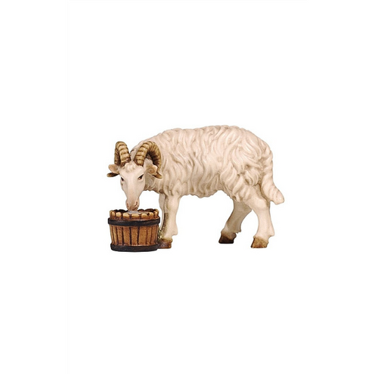 Ram with bucket