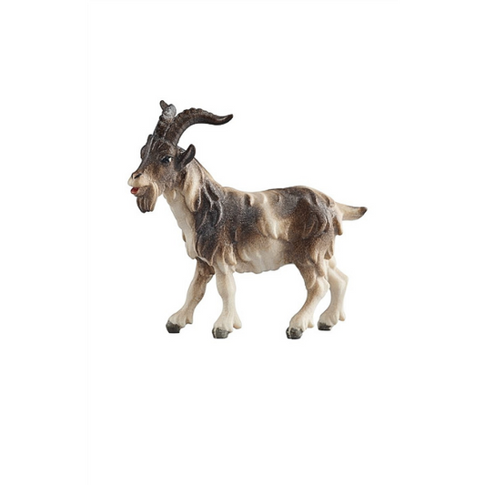 billy goat