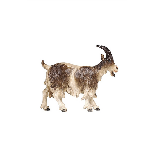 Goat standing