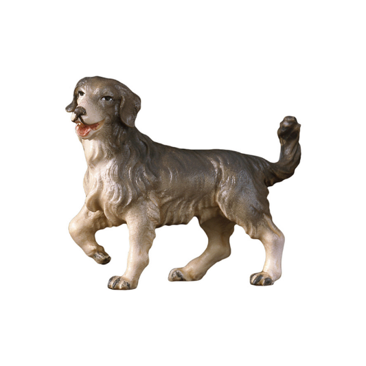 Hirtenhund Hirtenkrippe