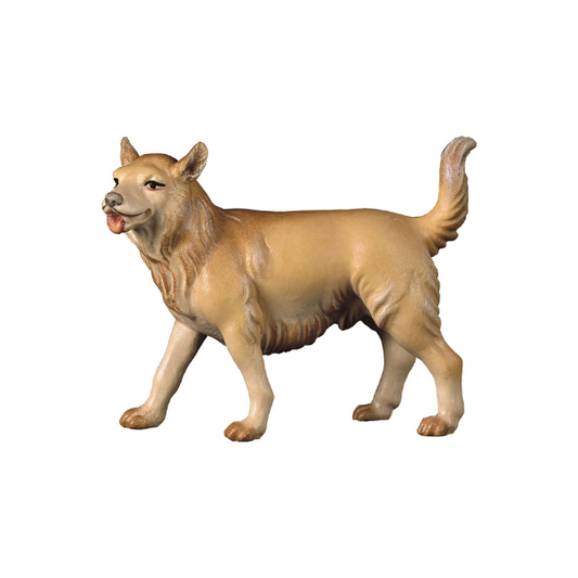Hirtenhund Kometkrippe